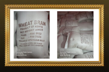 Wheat Bran